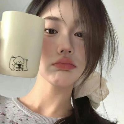 魅力航班